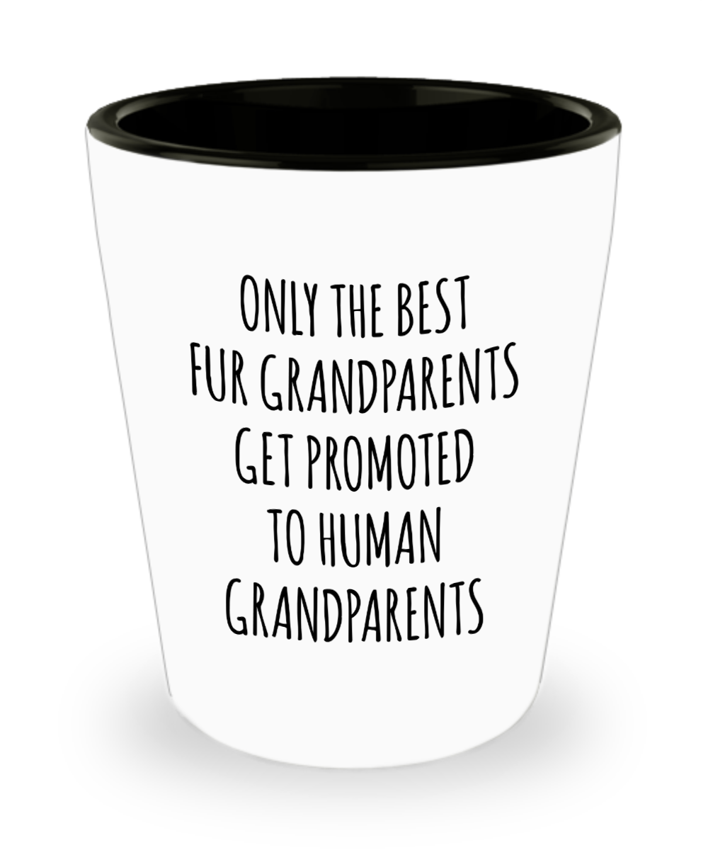 Pregnancy Announcement Tumbler, New Grandparents Gift, Grandparent