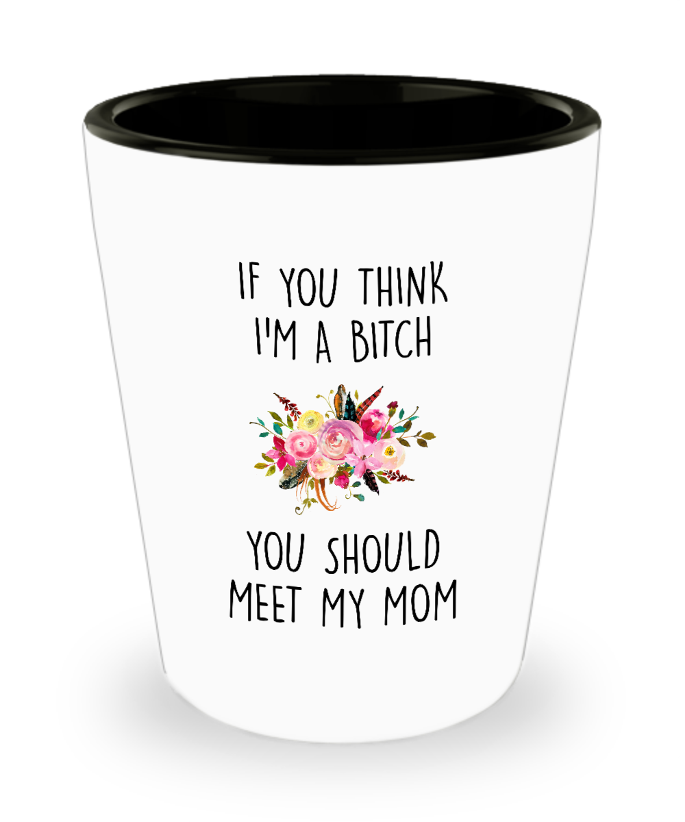 Funny Mom Mugs Funny Coffee Mugs for Mom Gifts Glass Coffee 