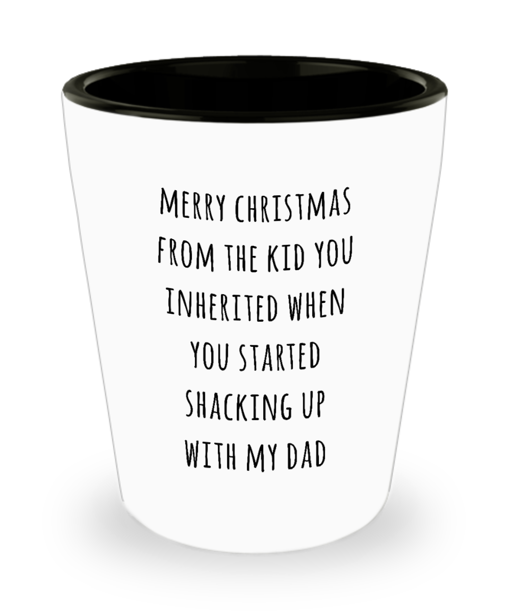 Stepmom Christmas Present Stepmother Gift for Stepmoms Funny Merry  Christmas from the Kid You Inherited When You Started Shacking with My Dad  Ceramic ...