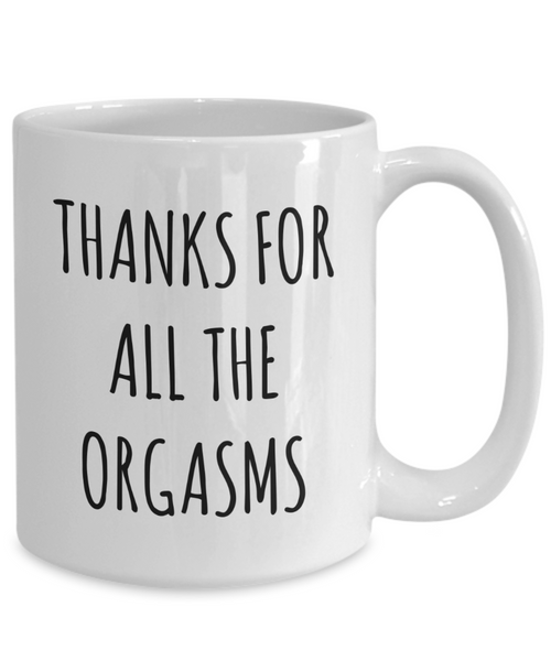 Valentines Day Gift Idea Thanks For All The Orgasms Mug Funny Coffee Cup-Cute But Rude