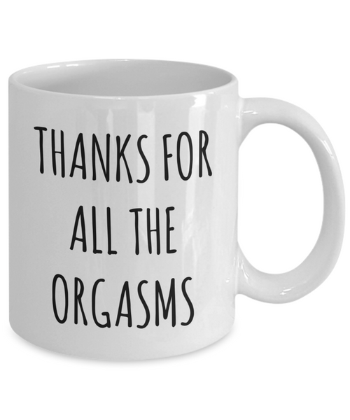 Valentines Day Gift Idea Thanks For All The Orgasms Mug Funny Coffee Cup-Cute But Rude