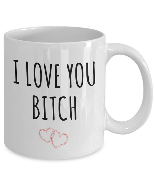 Galentines Day Mug I Love You Bitch Coffee Cup-Cute But Rude