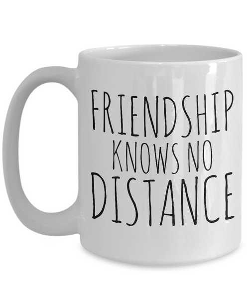 Friendship Knows No Distance Mug Long Distance Friend Gifts Coffee Cup-Cute But Rude