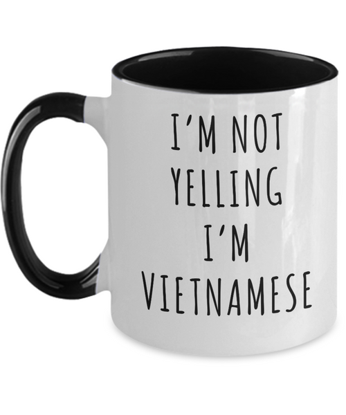 Vietnam Mug, Vietnamese Gifts, I'm Not Yelling I'm Vietnamese Coffee Cup Colored Mugs