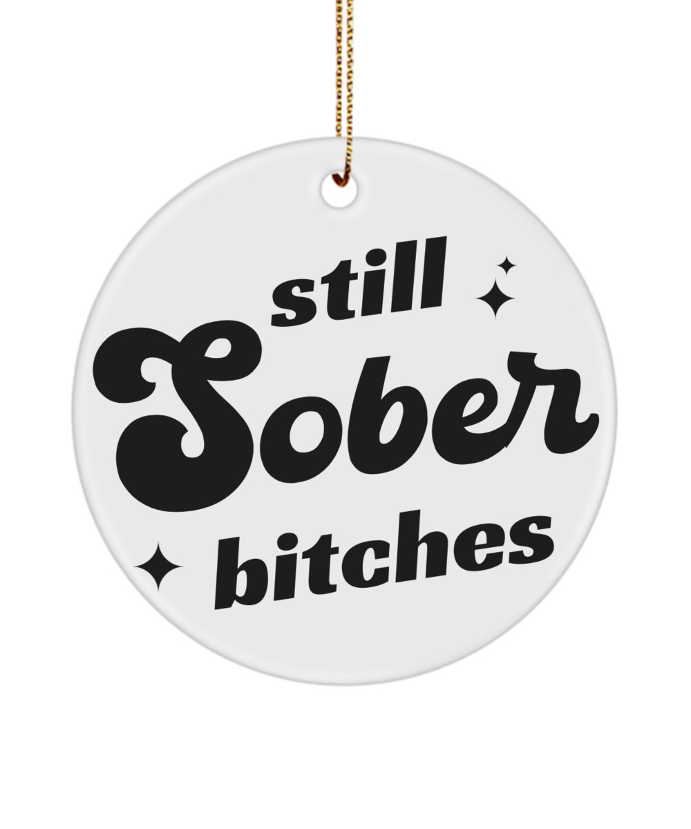 Sobriety Gifts for Women, One Year Sober Anniversary Gifts, Still Sober Bitches Christmas Tree Ornament