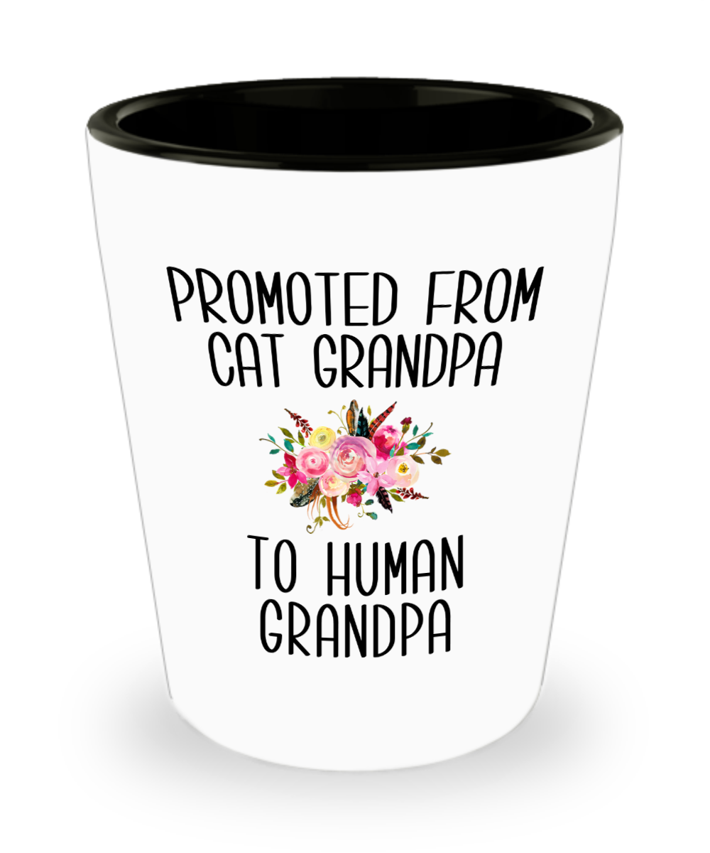 Promoted From Cat Grandpa To Human Grandpa Grandfather Pregnancy Announcement Father in Law Pregnancy Reveal Gift for Him Ceramic Shot Glass