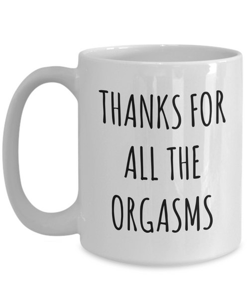 Valentines Day Gift Idea Thanks For All The Orgasms Mug Funny Coffee Cup-Cute But Rude